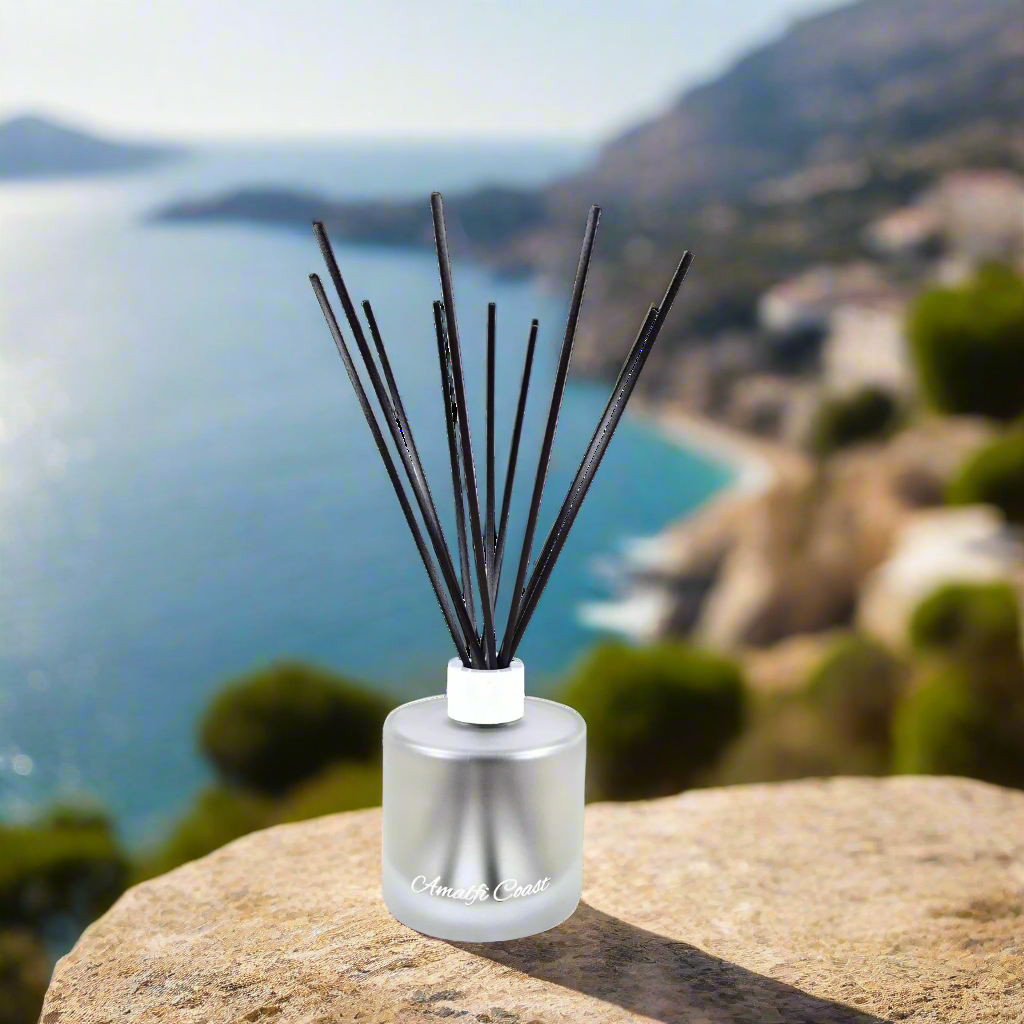 Diffuser with black sticks on a rock by a scenic ocean view