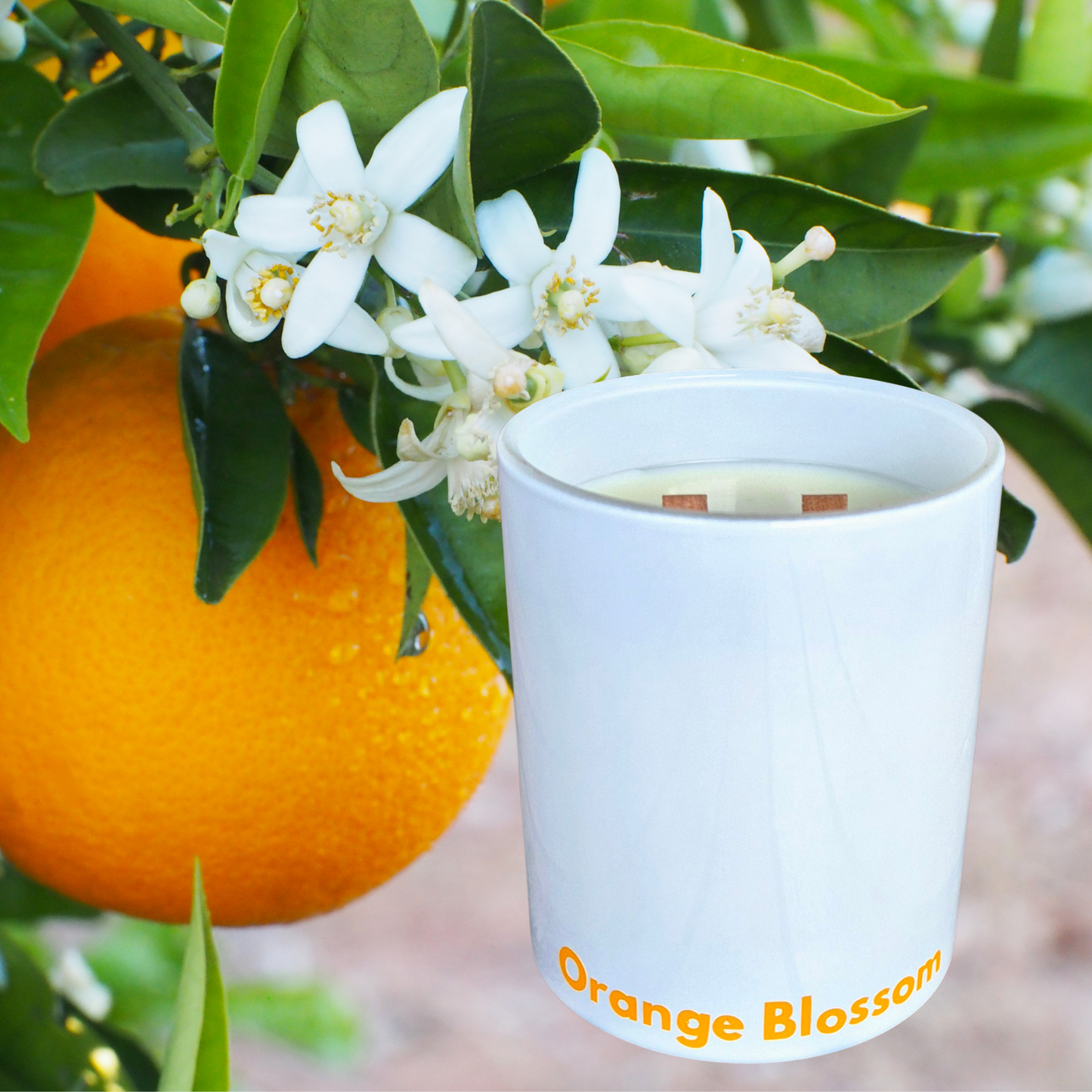Orange Blossom Candle White