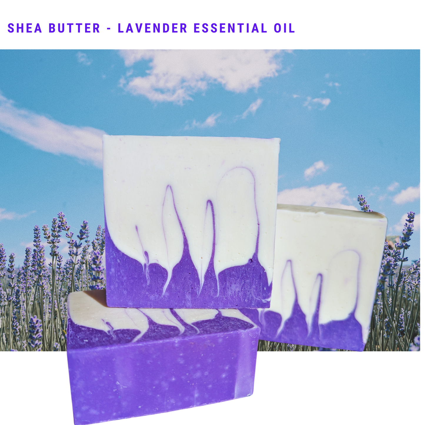 Lavender Essential Oil - Shea Butter