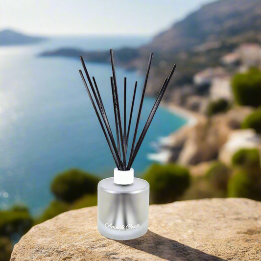 Diffuser with black sticks on a rock by a scenic ocean view