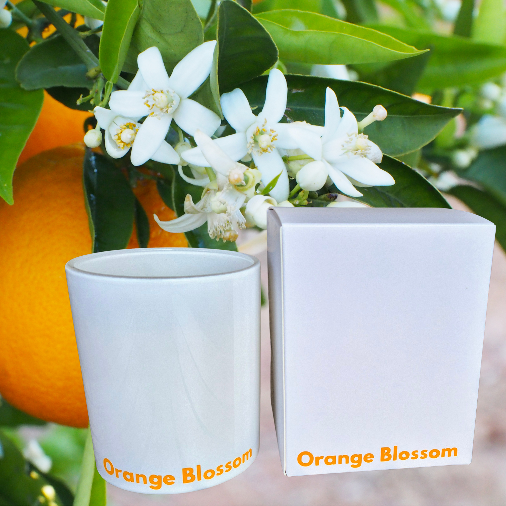 Orange Blossom Candle and Box